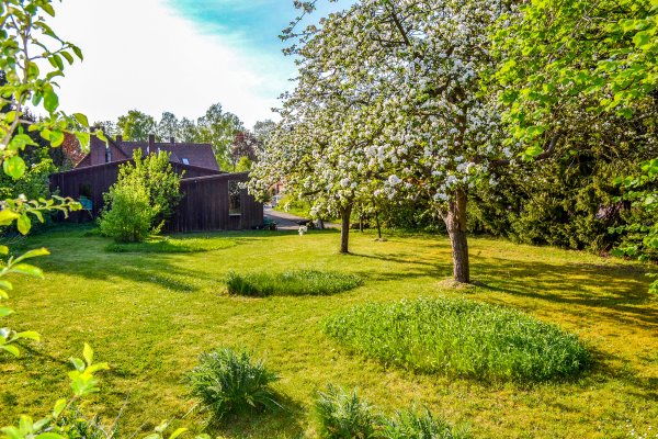 Der alte Obstgarten Der alte Obstgarten